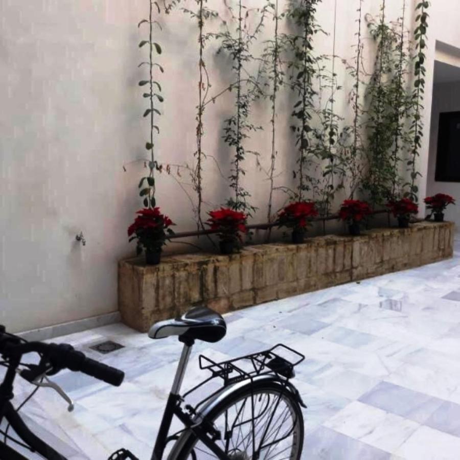 Estudio En Pleno Centro De By Msholidays Appartement
